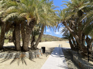 Palmenstrand Vai