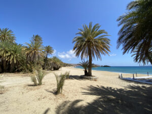 Palmenstrand Vai
